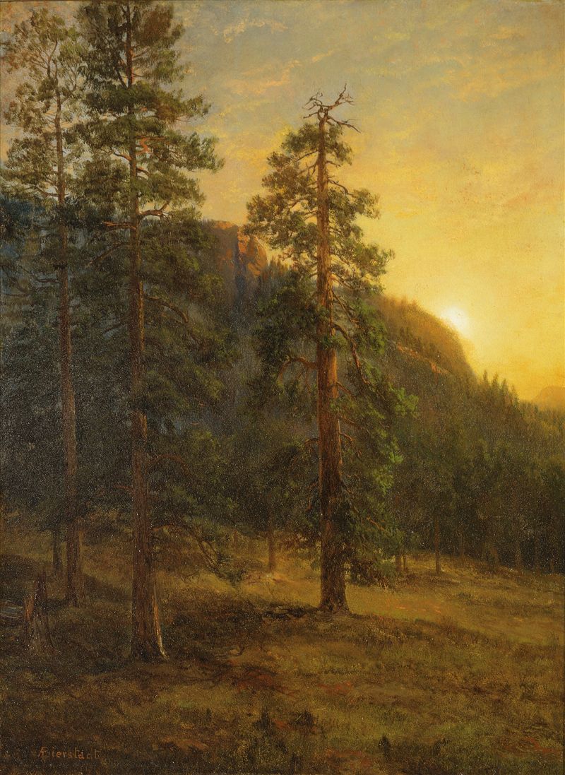 California Redwoods de Albert Bierstadt, pintura a óleo que retrata árvores imponentes e luz do sol filtrando pelas folhas.