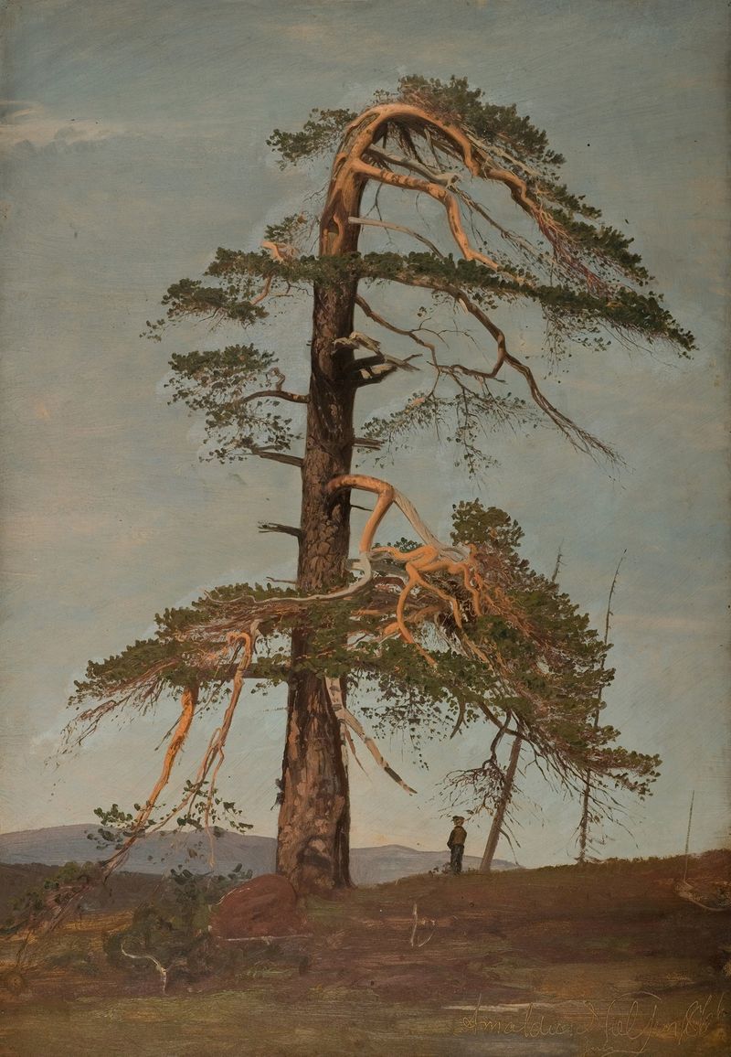 Furu. Vingeråsheia, Telemark de Amaldus Nielsen, óleo sobre lienzo que representa un río y colinas.
