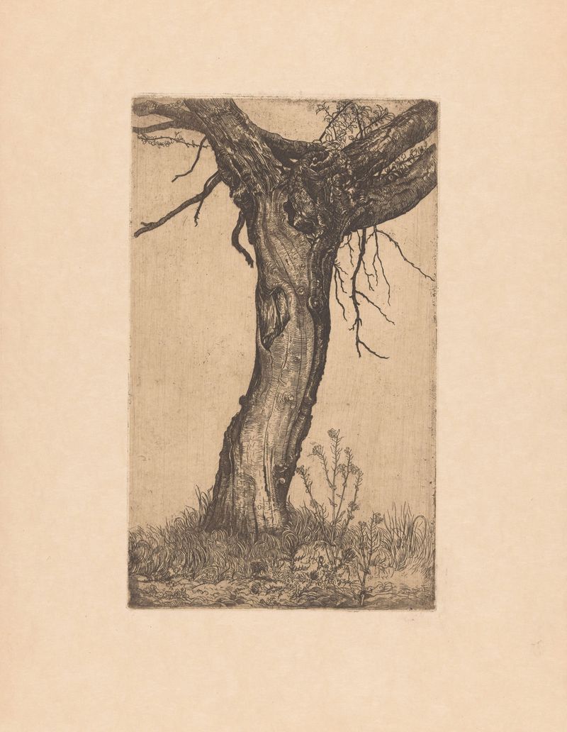 Landscape oil painting by Pieter Dupont featuring a gnarled willow tree.