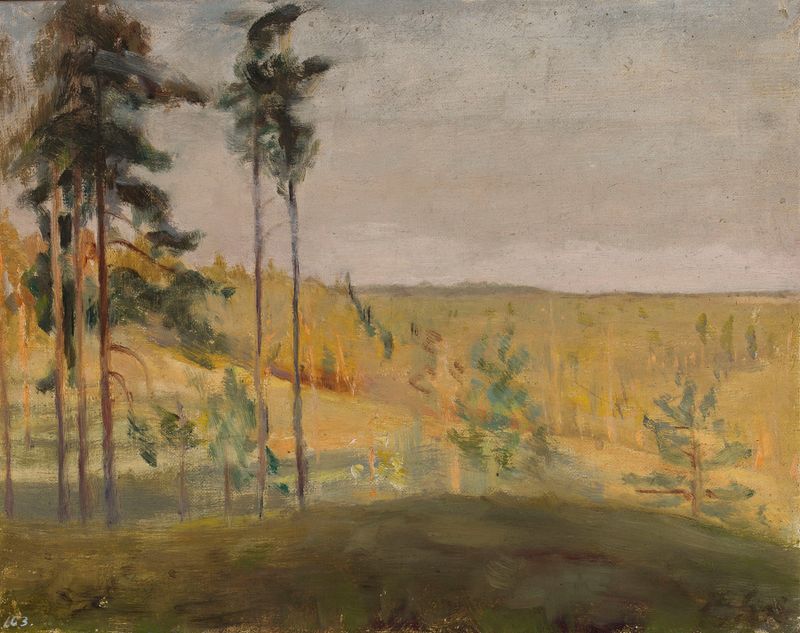 Terioki – Finland de Jan Ciągliński, impresionismo, paisaje