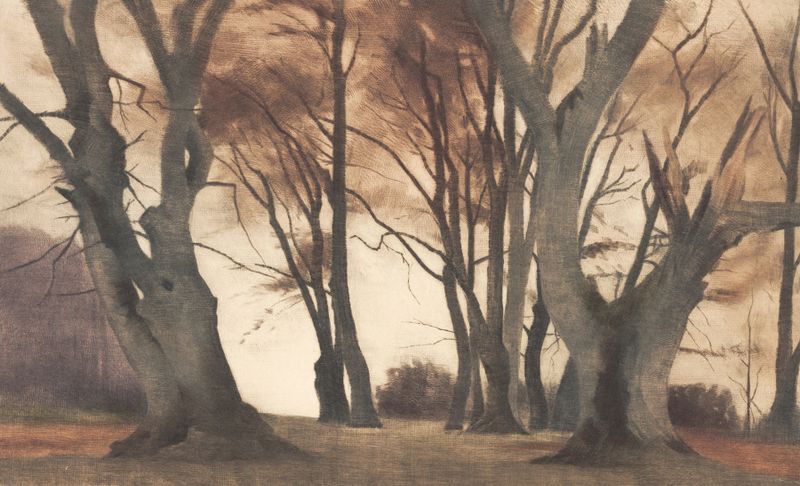 Bøgetræer i Ermelunden by Peter Ilsted, oil painting of beech trees in a forest.