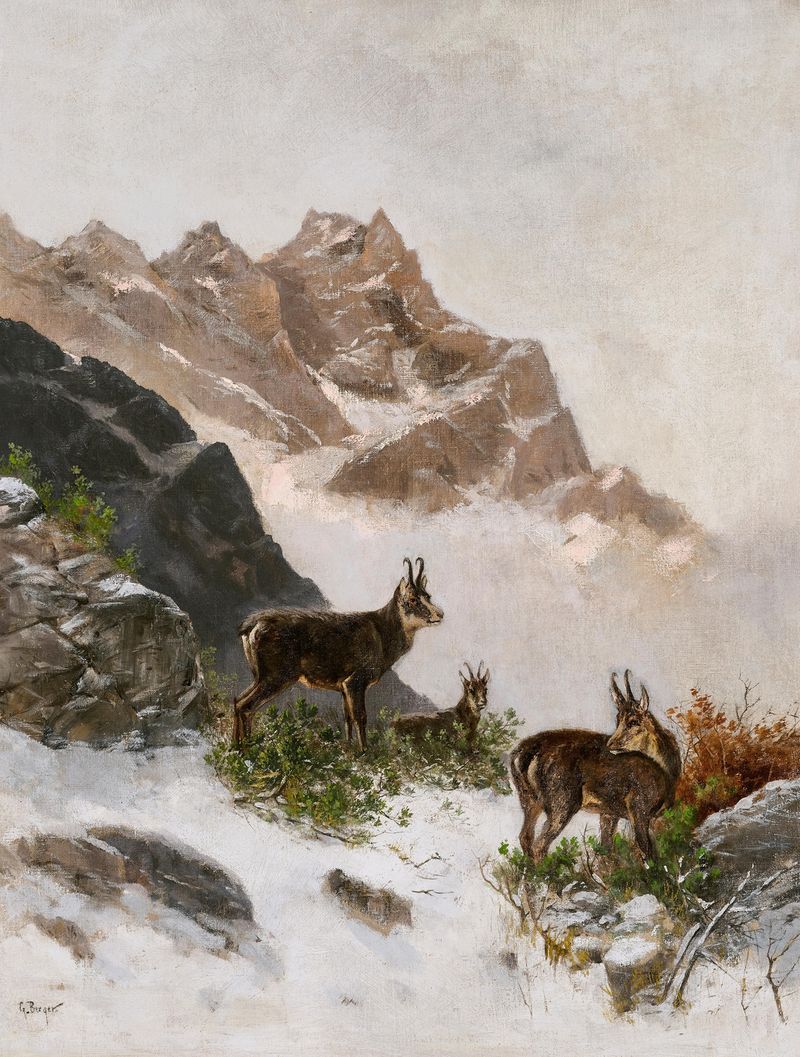 Chamois in the Snow by Georg Berger, oil painting featuring a chamois in a snowy landscape.