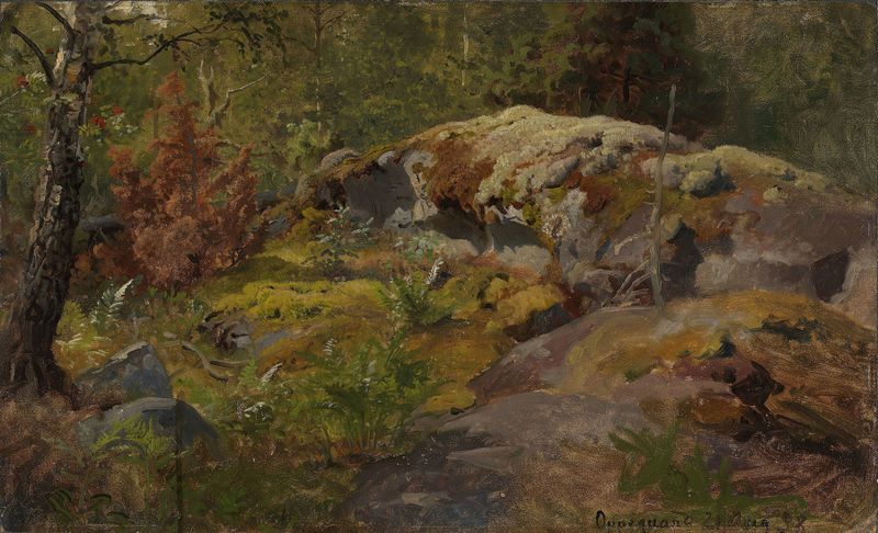 Forest Floor de Hans Gude, óleo sobre tela que retrata uma cena florestal tranquila com tons terrosos.