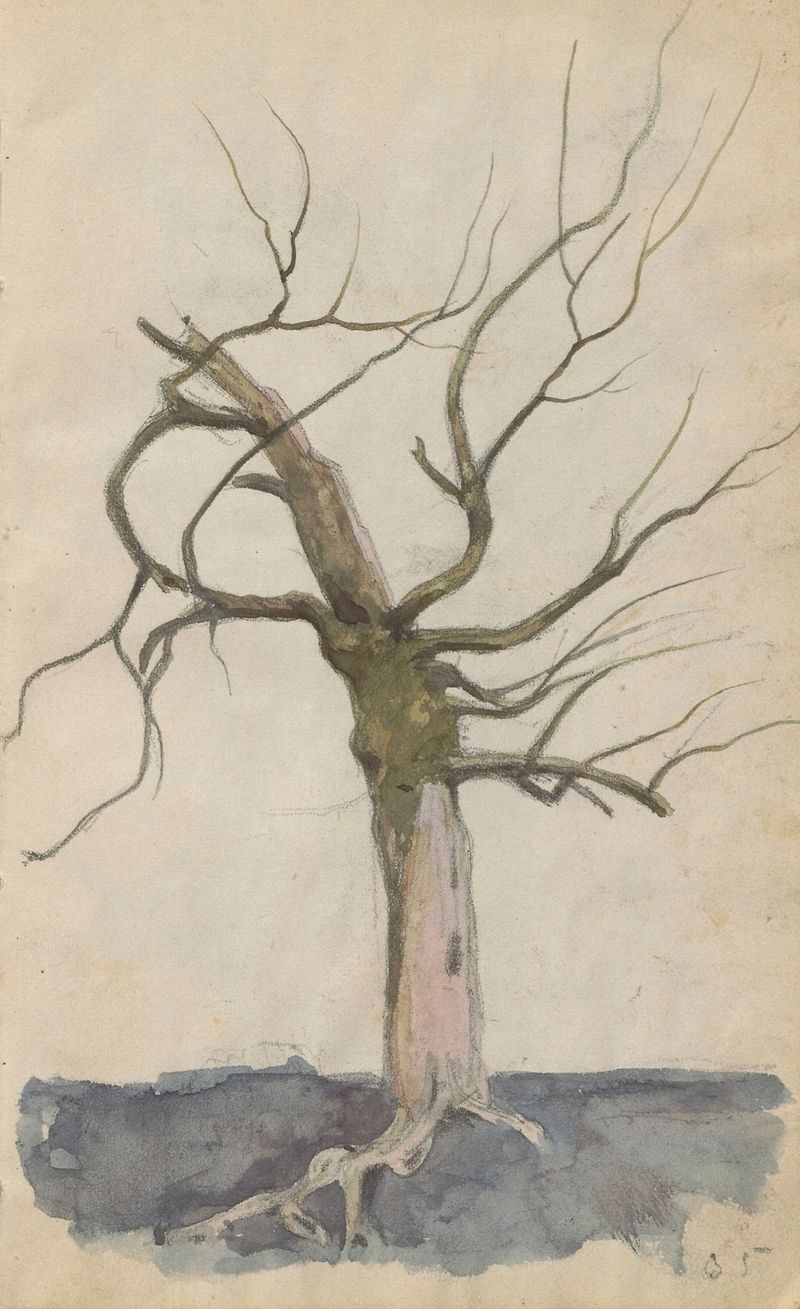 Leafless tree de Jan Stanisławski, óleo sobre tela, com galhos retorcidos e tons terrosos.