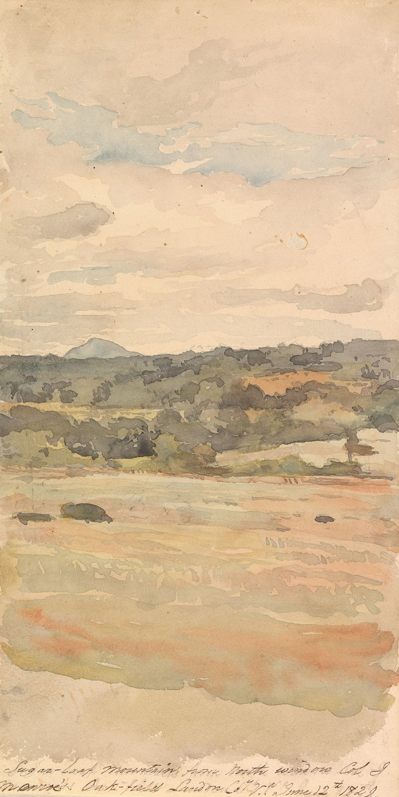 Paisaje de Sugar-Loaf Mountain por Thomas Sully, pintura al óleo