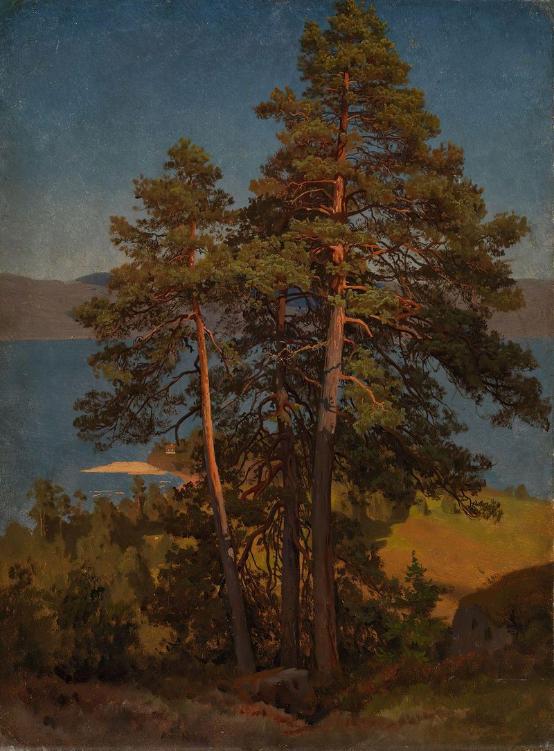 Landscape with pine trees and a valley, oil on canvas by August Cappelen