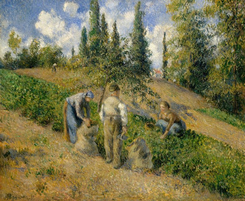 La Récolte, Pontoise de Camille Pissarro, pintura al óleo que muestra a los trabajadores cosechando trigo.
