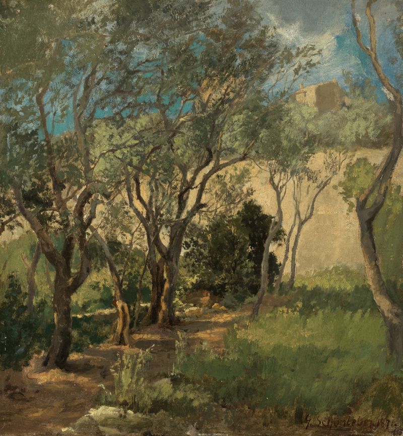 Olivenhain bei Genua de Gustav Schönleber, óleo sobre tela representando oliveiras e luz dourada.