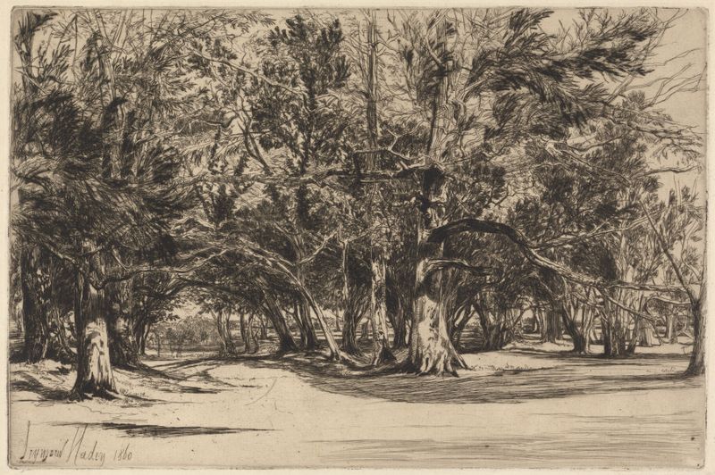 A Byroad in Tipperary de Francis Seymour Haden, grabado paisajístico que muestra un camino serpenteante a través de la nat...