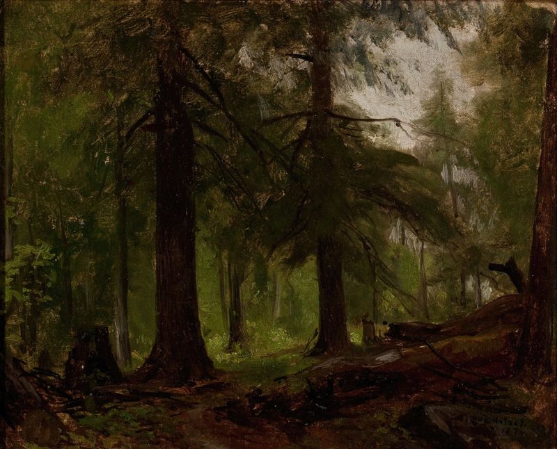 Forest Interior de George Hetzel, óleo sobre tela mostrando luz filtrada entre árvores.