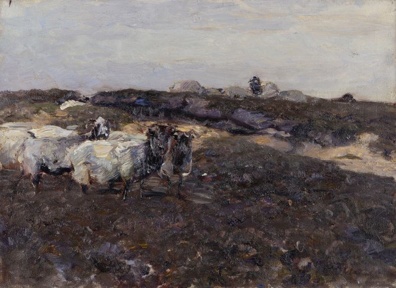 Sheeps in Moorland, oil on canvas by Heinrich Von Zügel, depicting sheep in a moorland landscape.