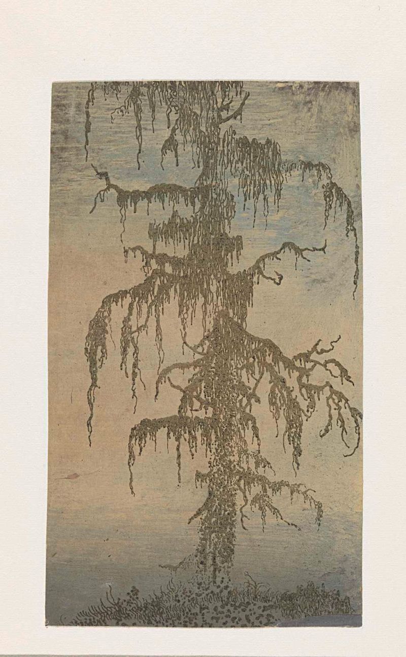 Grabado de Hercules Segers que representa un árbol musgoso con líneas delicadas.