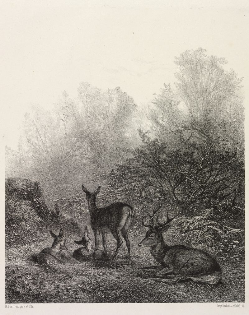 Watercolor on paper by Karl Bodmer depicting a deer resting in a tranquil landscape.