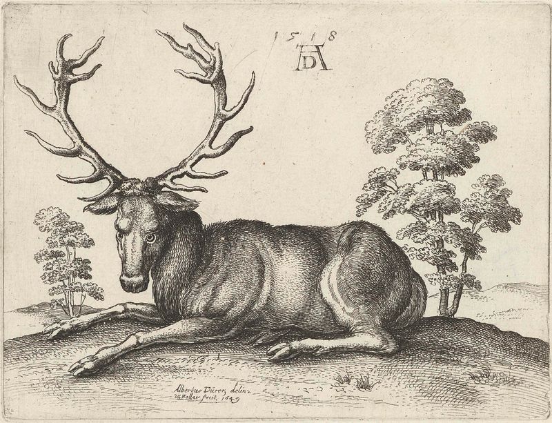 Gravura de Wenceslaus Hollar mostrando um cervo deitado em tranquilidade