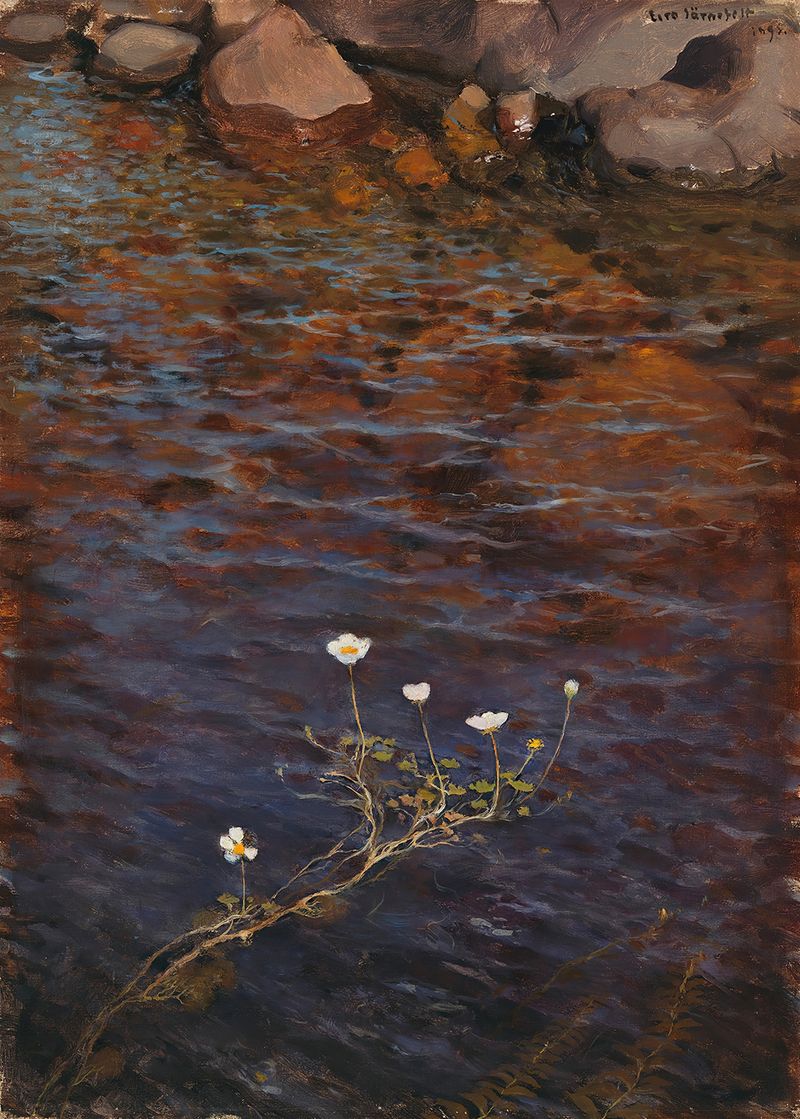 Pond Water Crowfoot de Eero Järnefelt, pintura a óleo que retrata água tranquila e reflexos.