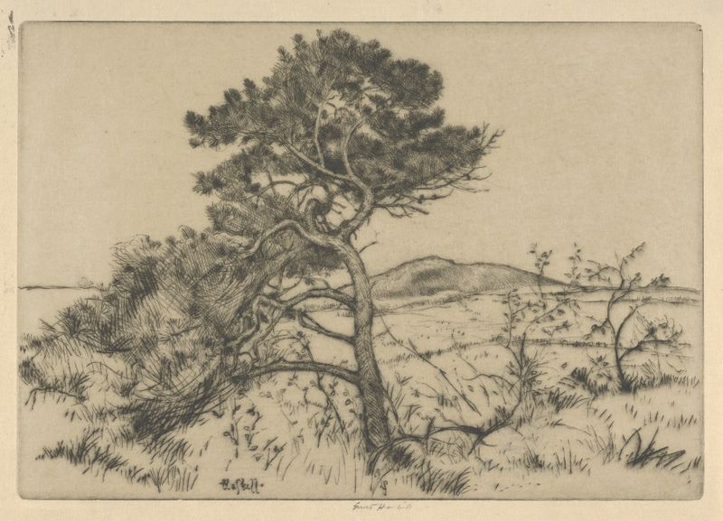 Paisaje de pinos contra un cielo pastel, pintura al óleo de Ernest Haskell