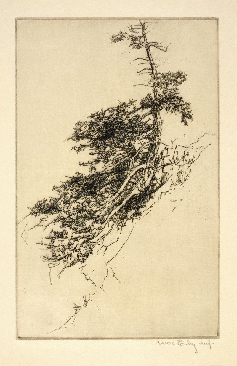 Grabado Little Rock Pine de Kerr Eby, que presenta un pino detallado en un bosque.