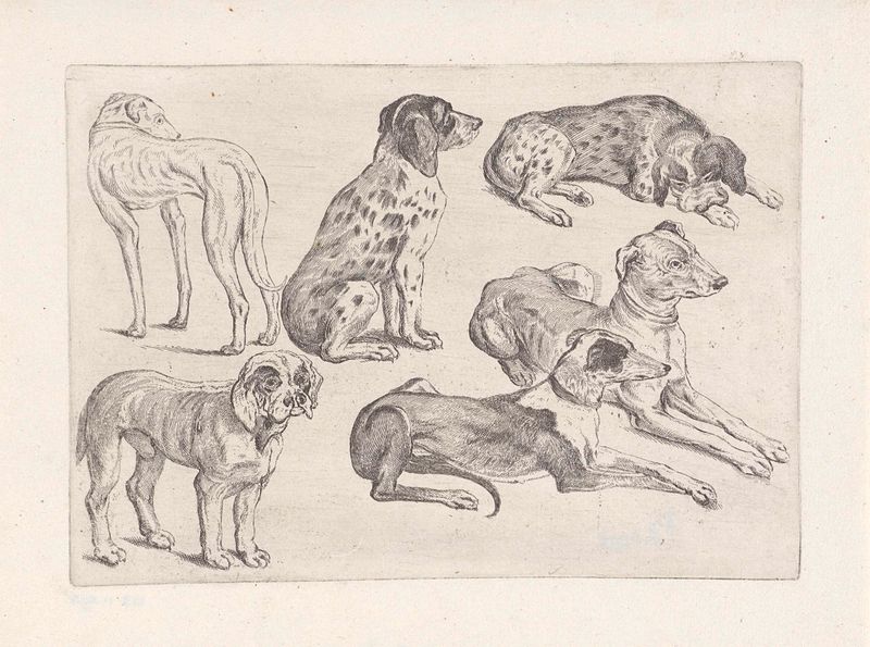 Grabado de Wenceslaus Hollar que representa seis perros de caza en reposo