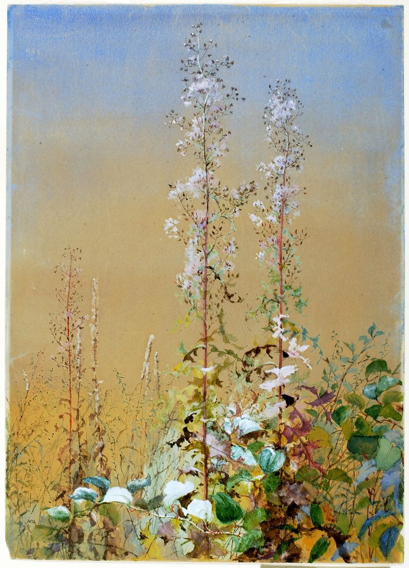 Botanical scene with flowers and sunlight, oil painting by Fidelia Bridges, 1876