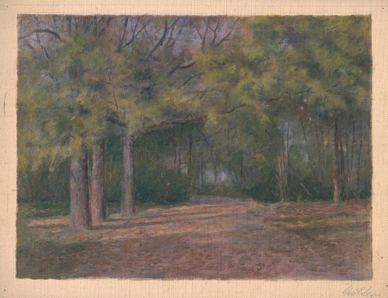 Forest II, oil on canvas by Dezider Czölder depicting a dense forest with trees.