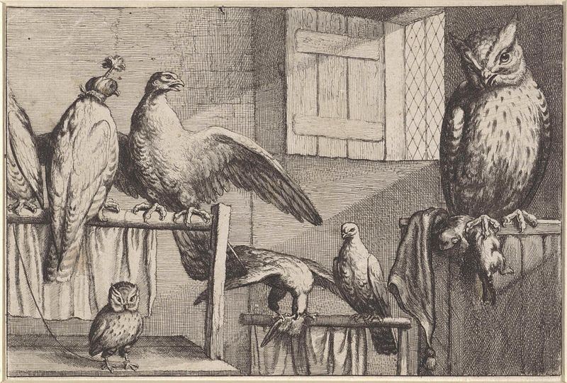 Valken en uilen in een schuur de Wenceslaus Hollar, grabado que muestra halcones y búhos en un granero