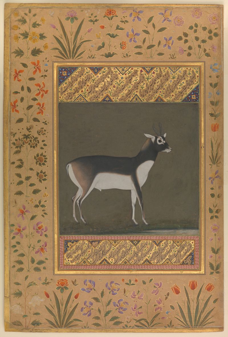 Black buck in gold by Manohar, Mughal art