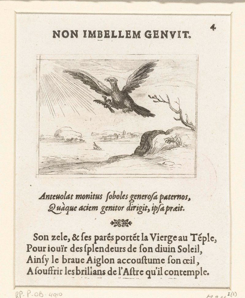 Gravura de Jacques Callot mostrando uma águia com seu filhote, destacando detalhes intrincados das penas.