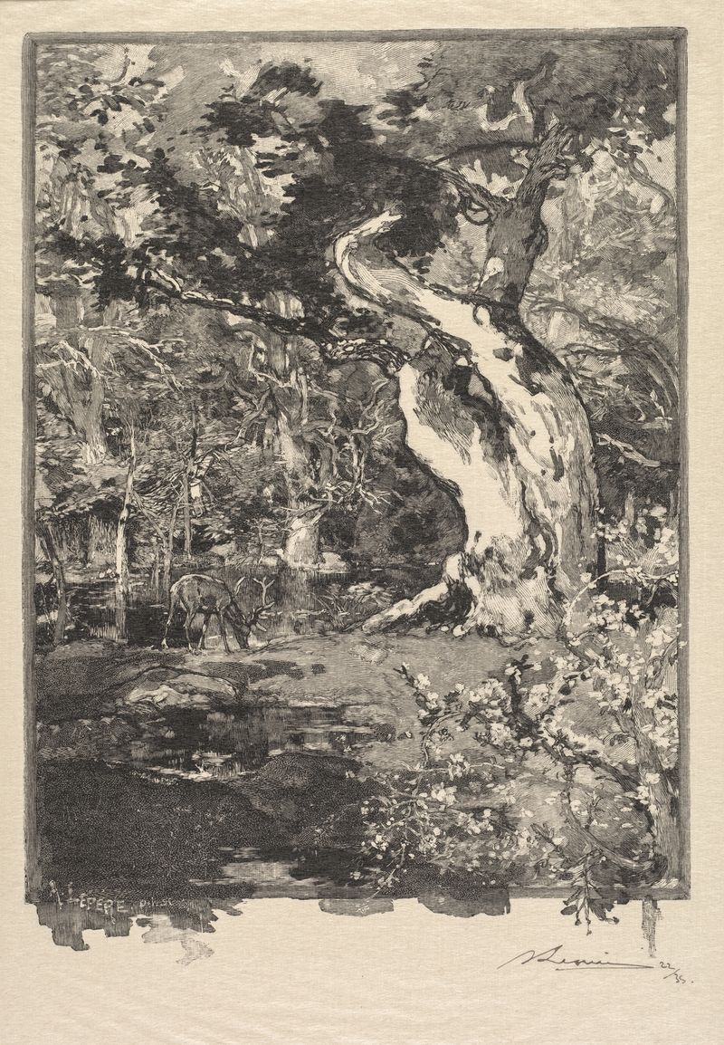 Gravura de Auguste Louis Lepère mostrando luz sobre colinas onduladas