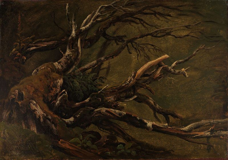 Estudio de un Árbol en Decaimiento de Thomas Fearnley, pintura al óleo de un árbol retorcido en colores apagados.