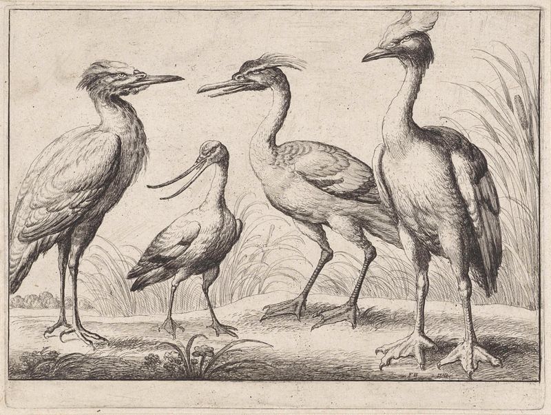 Cuatro aves zancudas en un paisaje sereno, grabado de Wenceslaus Hollar