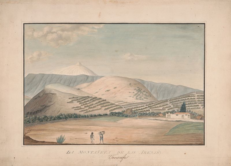 Landscape by Alfred Diston, Post-Impressionism, featuring deep ochres and soft blues.