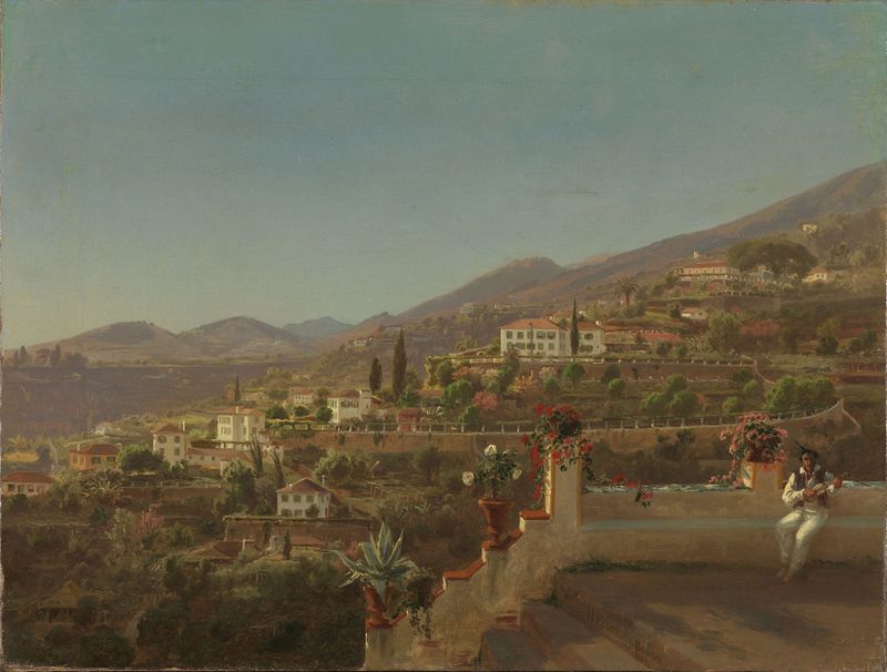 Landscape of Funchal, Madeira by Johan Fredrik Eckersberg, oil painting