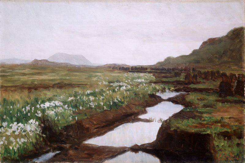 Study of a Peat Bog on Jæren, oil on canvas by Kitty Kielland depicting a vibrant landscape.