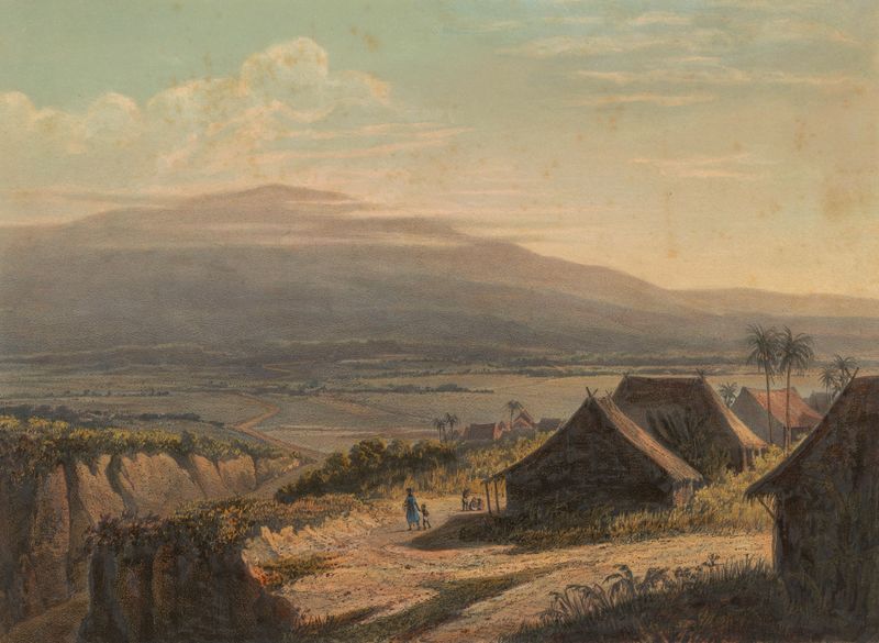 Paisagem em Java de Johan Conrad Greive, 1869, mostrando colinas e árvores na luz dourada.