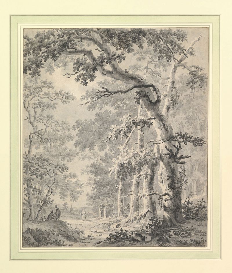 Wooded landscape oil painting by Paulus van Liender featuring trees and soft light.