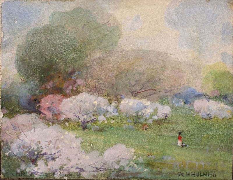 Cherry blossoms by William Henry Holmes, impressionism, depicting pink petals against a soft azure background