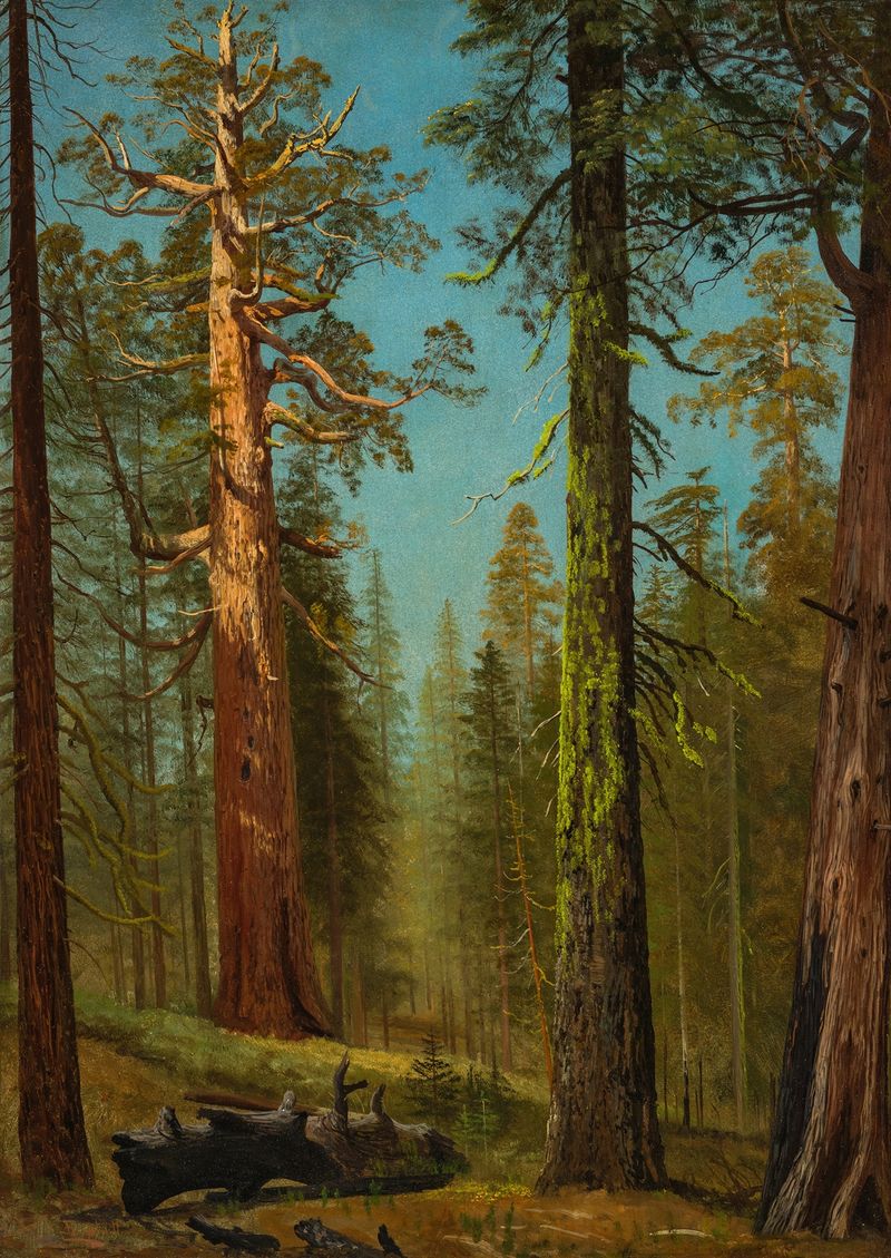 O Grizzly Giant Sequoia, 1872-1873, pintura a óleo de Albert Bierstadt