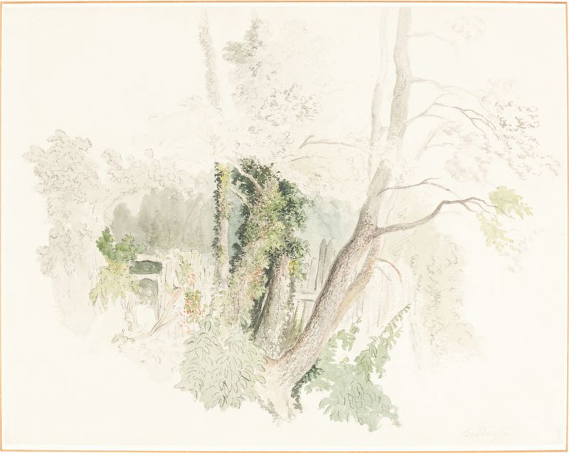 Árvores em Beddington de Robert Hills, pintura a óleo que retrata uma floresta com luz do sol filtrando pelas árvores.