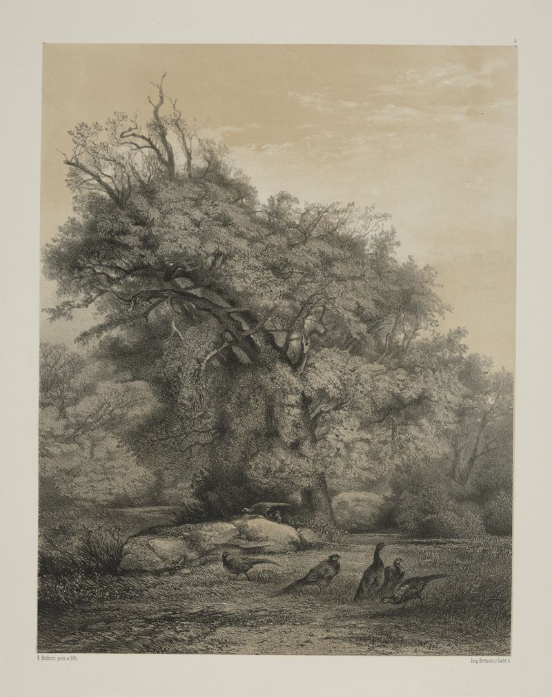 Pheasants by Karl Bodmer, depicting colorful birds with intricate feathers, oil painting