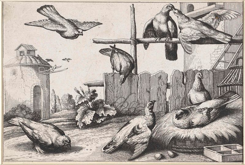 Palomas reunidas bajo un palomar, grabado de Unknown Artist