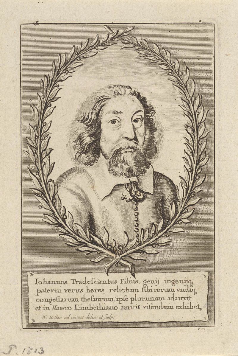 Retrato de John Tradescant de Jonge, grabado de Wenceslaus Hollar