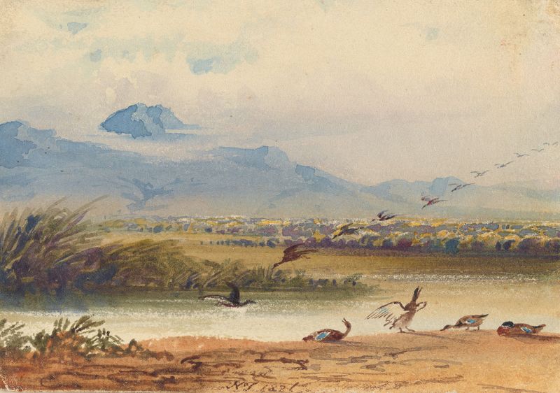 Ducks landing on a river in oil painting by Newton Limbird Smith Fielding