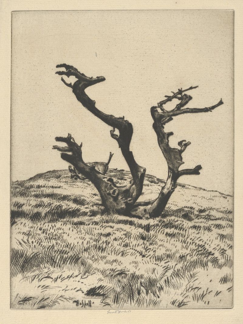 Tres Brujas de Ernest Haskell, representando tres figuras en elaboradas vestimentas, medio desconocido.