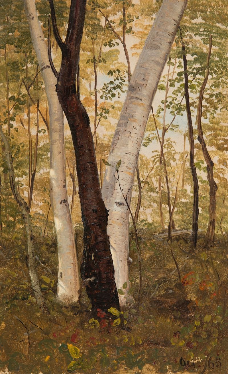 Escena de bosque con árboles y sombras de Frederic Edwin Church, pintura al óleo