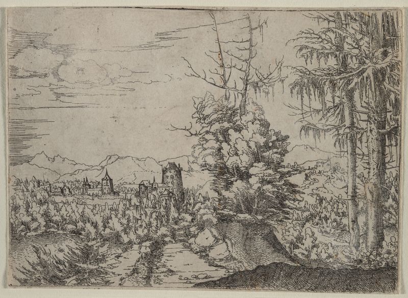 Landscape with Two Pines by Albrecht Altdorfer, oil painting featuring towering pines and serene horizon.