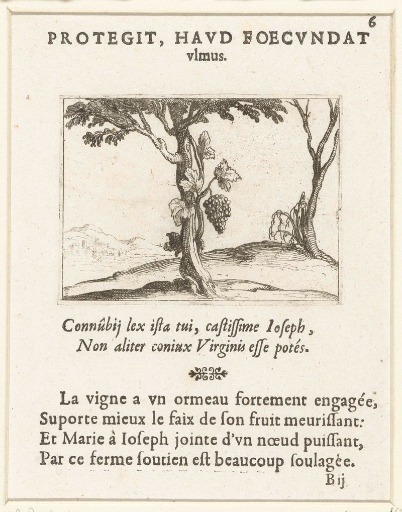 Wijnstok bij een boom de Jacques Callot, gravura mostrando uma videira entrelaçada em uma árvore
