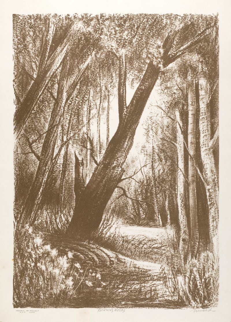 Brown's Woods de Russell T. Limbach, óleo sobre lienzo que representa una escena vibrante del bosque.