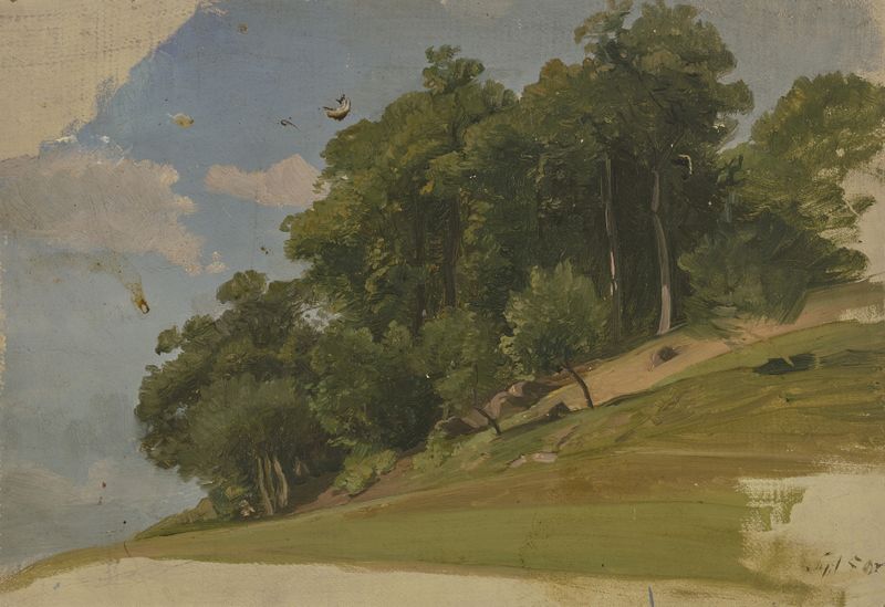 Paisaje de Jakob Becker que muestra un bosque con luz filtrándose entre los árboles, pintura al óleo