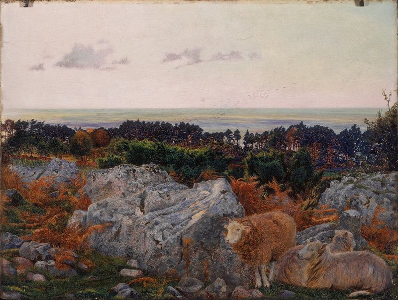 Paisaje de Morecambe Bay desde Warton Crag, óleo sobre lienzo de Daniel Alexander Williamson