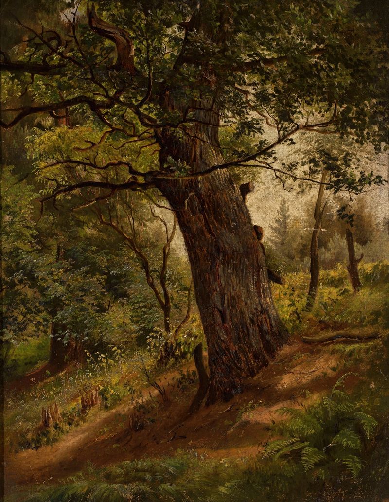 Study of a tree by Wilhelm Peter Bayer, watercolor on paper